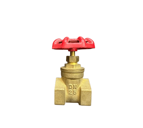 1 INCH GATE VALVE
