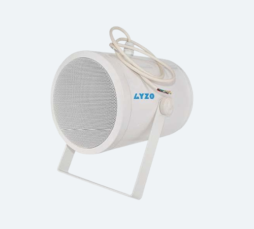 Projection Speaker