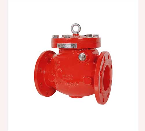 Check Valve