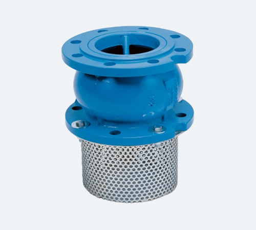 Foot Valve, Y Strainer